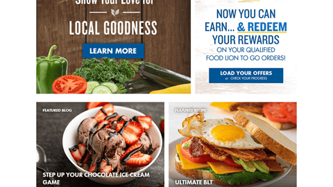 Food Lion 'Help Nourish Kids' Home Page Display Ad
